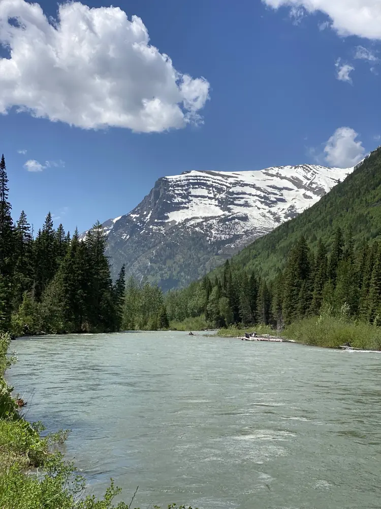 Trail of the Cedars & Avalanche Lake