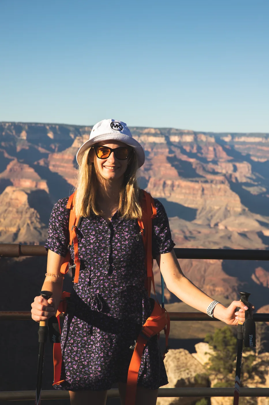 The railing at the rim · the first look down
