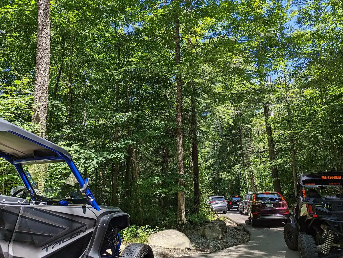 Mount LeConte (optional, full hike)