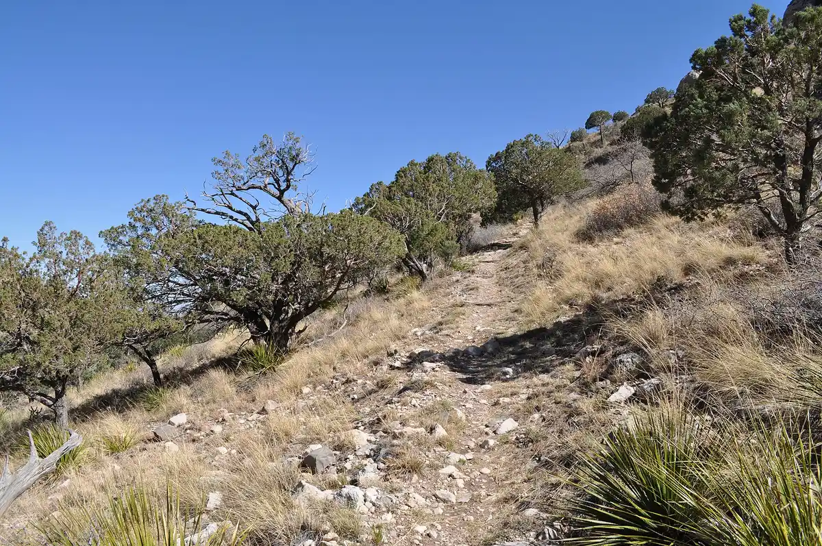 Guadalupe Peak Trail to campground