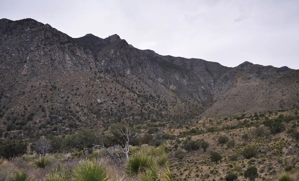 Summit Guadalupe Peak (8,751 ft)