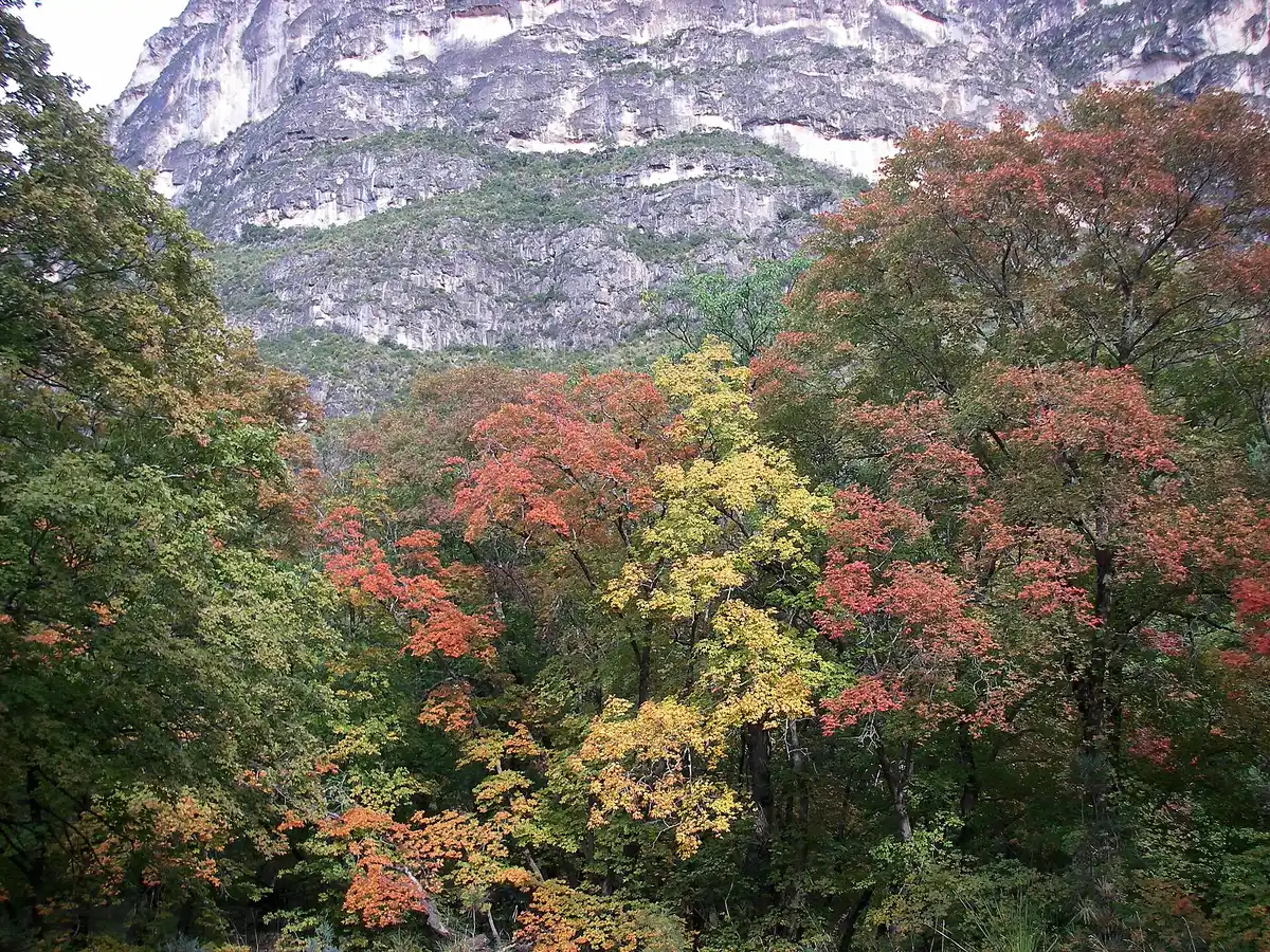 McKittrick Canyon Trailhead & drive out