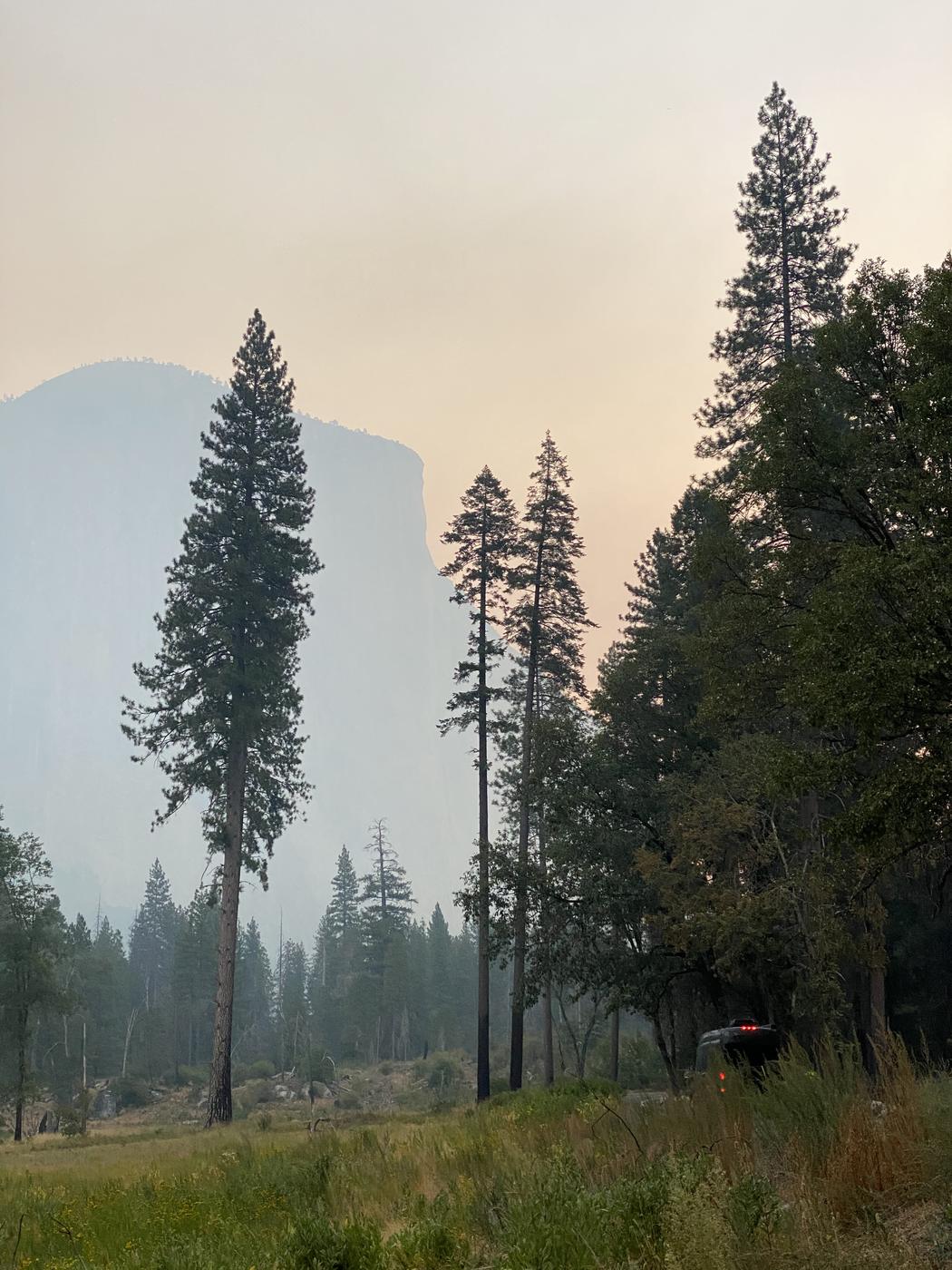 Yosemite Valley under heavy wildfire smoke, a granite dome faint behind pine trees