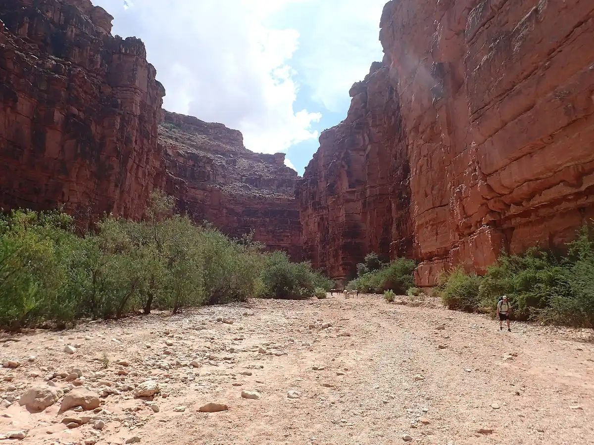 Best Time to Visit Havasupai Falls: Season-by-Season Guide