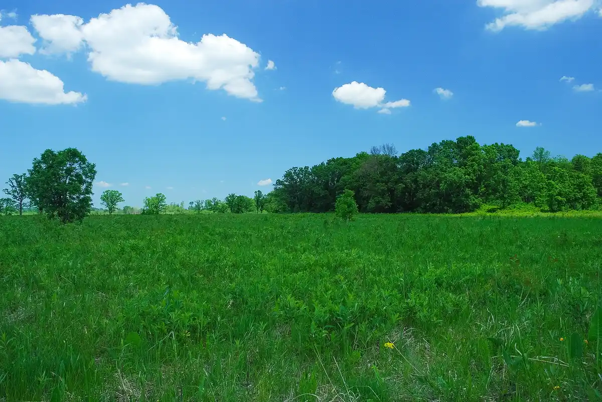 Scuppernong · prairie & oak savanna