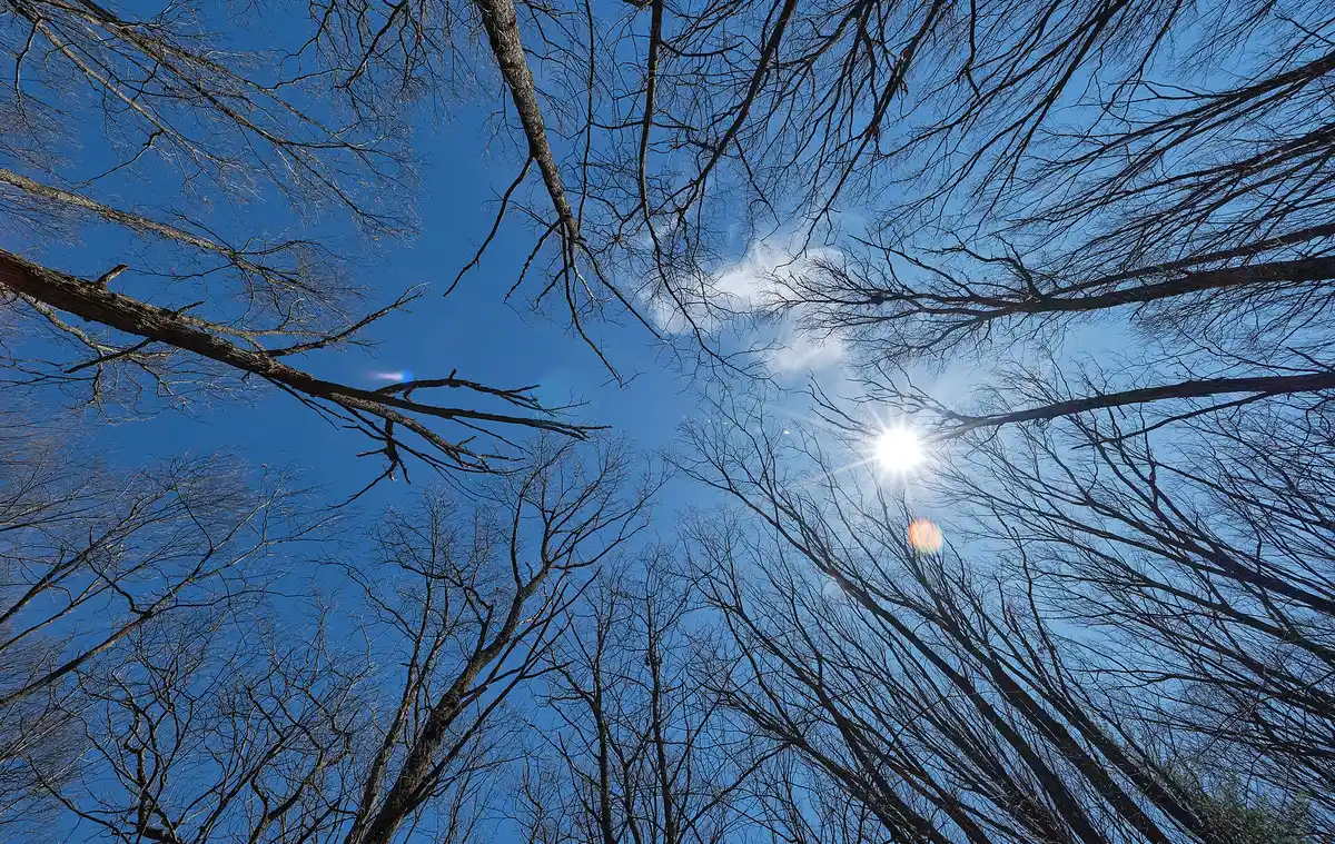 Hike Scuppernong to Ottawa Lake