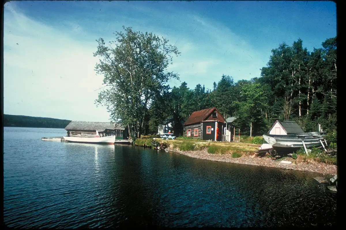 Camp at a lakeside cove site