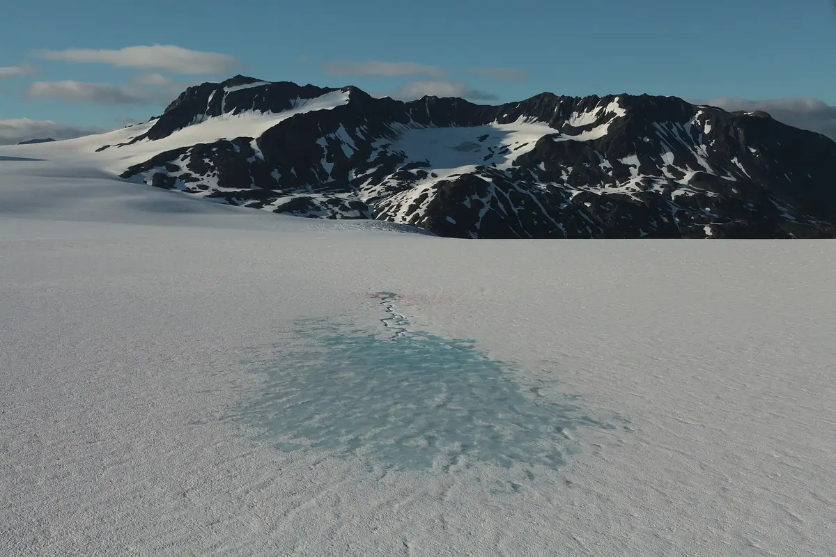 Harding Icefield Trail · above the treeline