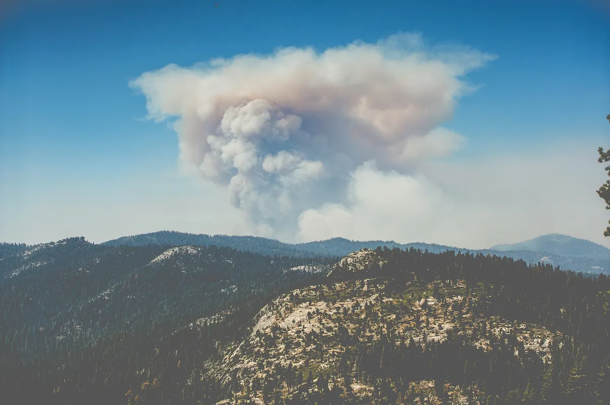 Best Time to Visit Kings Canyon National Park