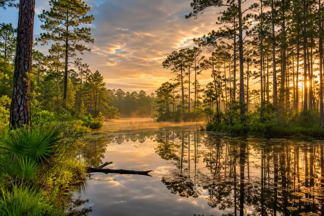 Kisatchie National Forest: 6-Day Louisiana Backpacking Trip