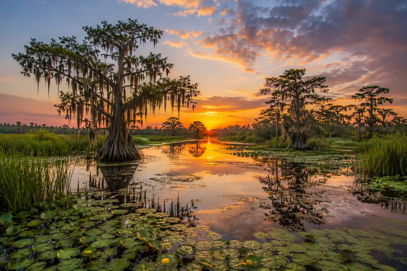Louisiana 10-Day Outdoor & Wetlands Circuit
