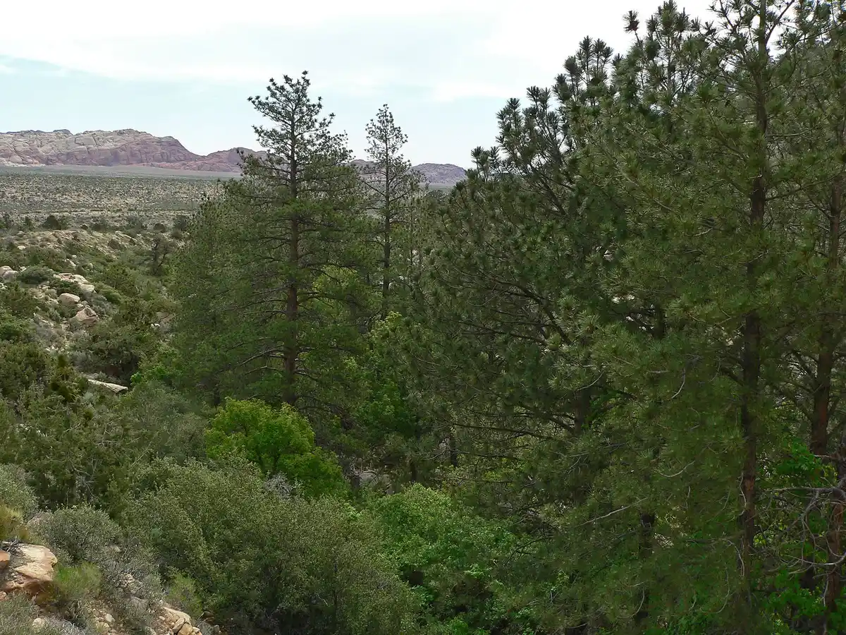 A Badlands canyon along the Maah Daah Hey Trail