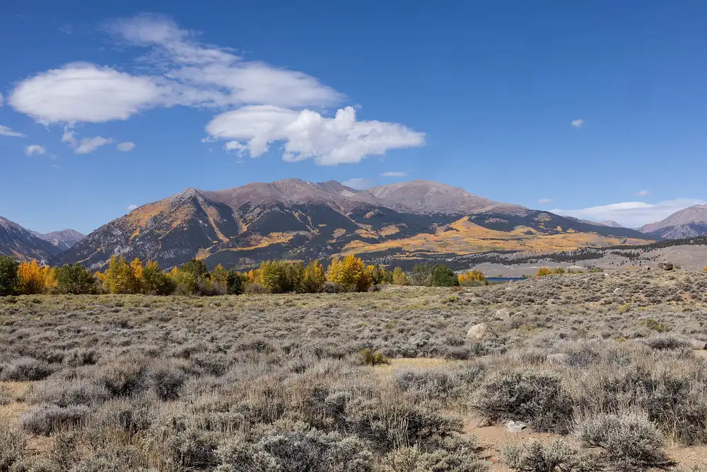 Autumn colour along the valley on the Independence Pass road