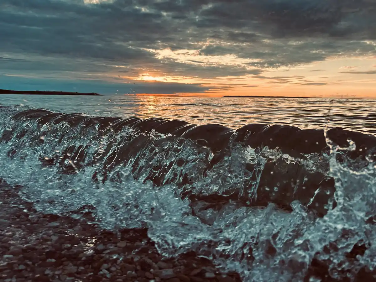 Crystal River paddle · Crystal River Outfitters
