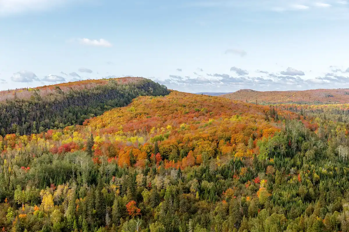 Leveaux Mountain Loop