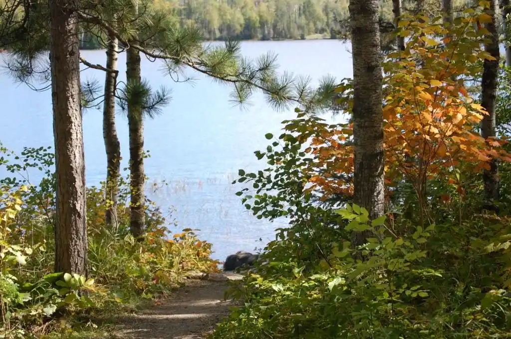 Paddle Beth to Grace Lake