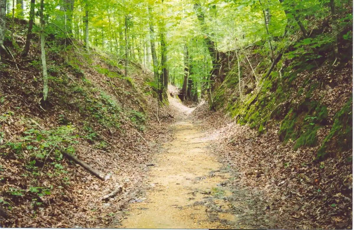 Sunken Trace · the historic Natchez Trace