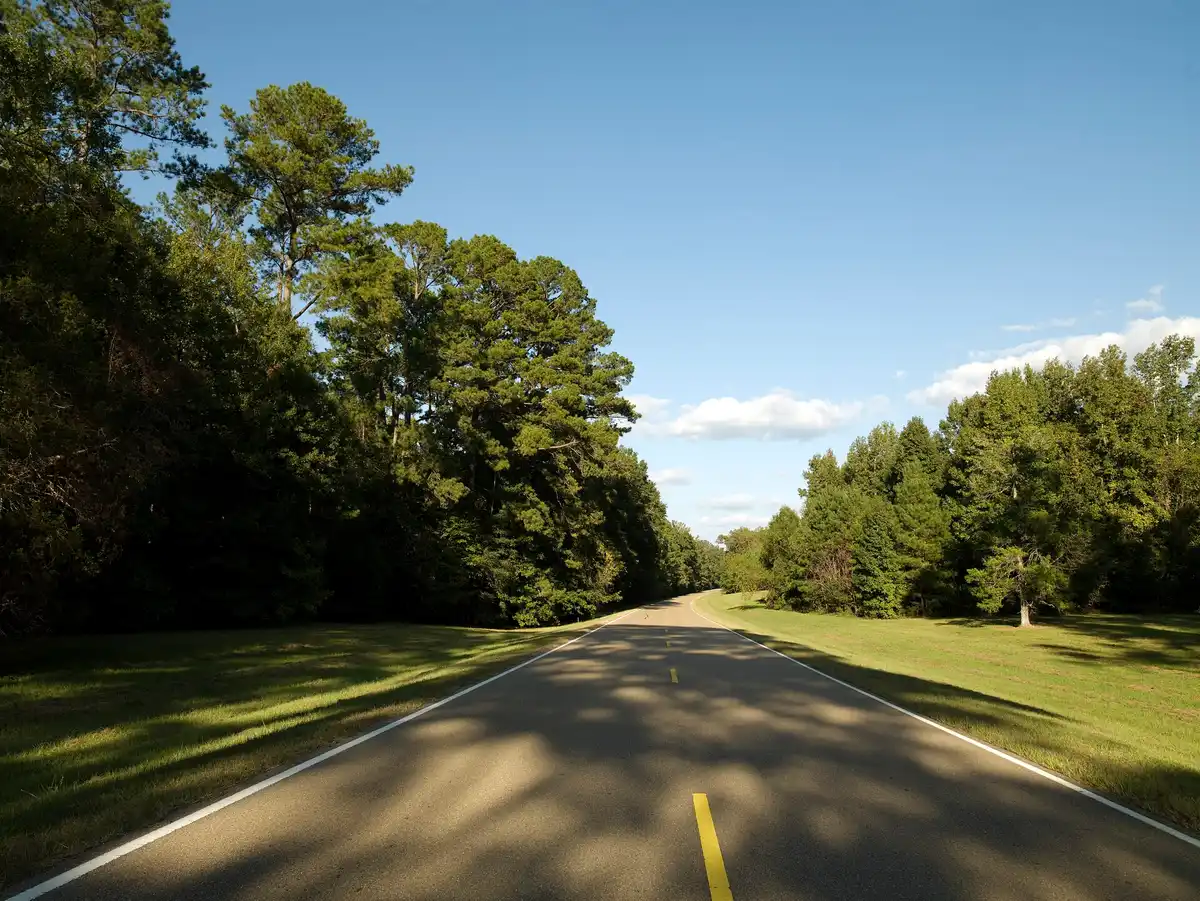 A wooded section of the Natchez Trace National Scenic Trail