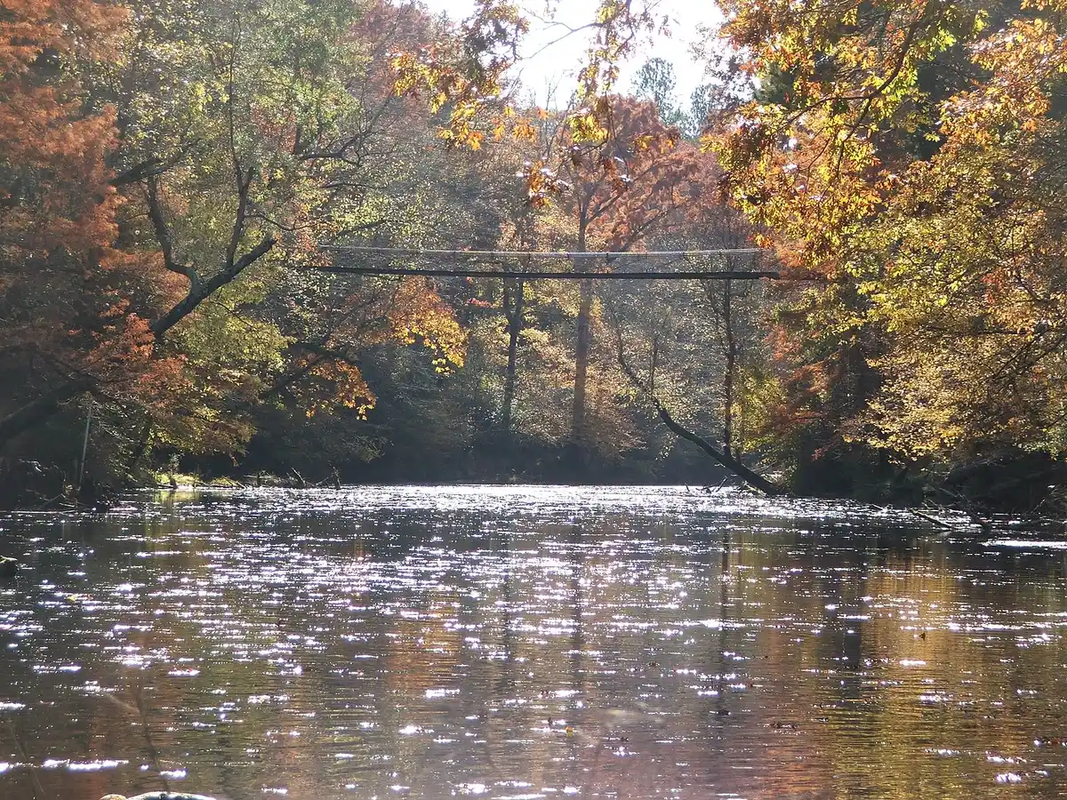 The swinging bridge over a stream at Tishomingo State Park