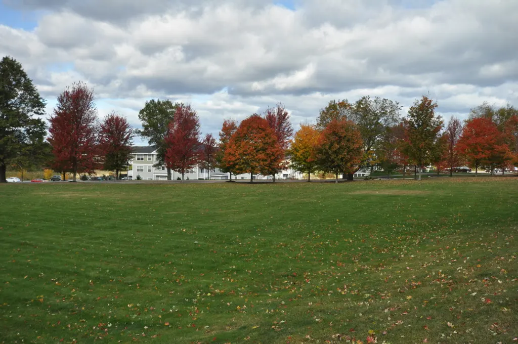 Getting home: Portland, Manchester or Boston
