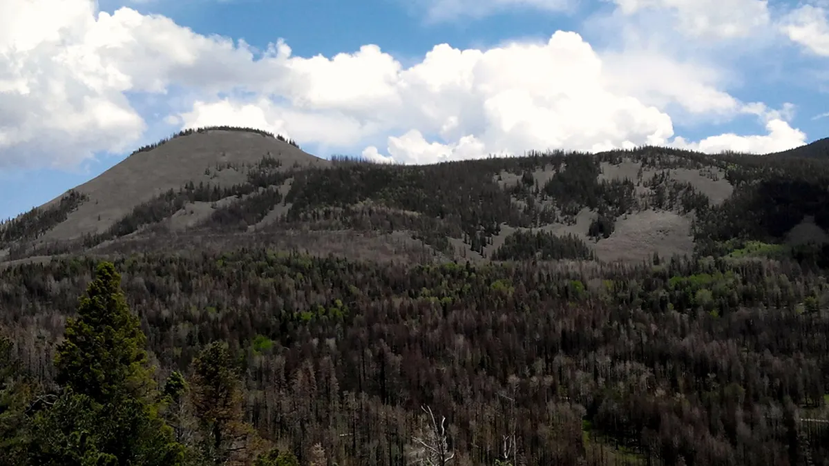 Valles Caldera National Preserve