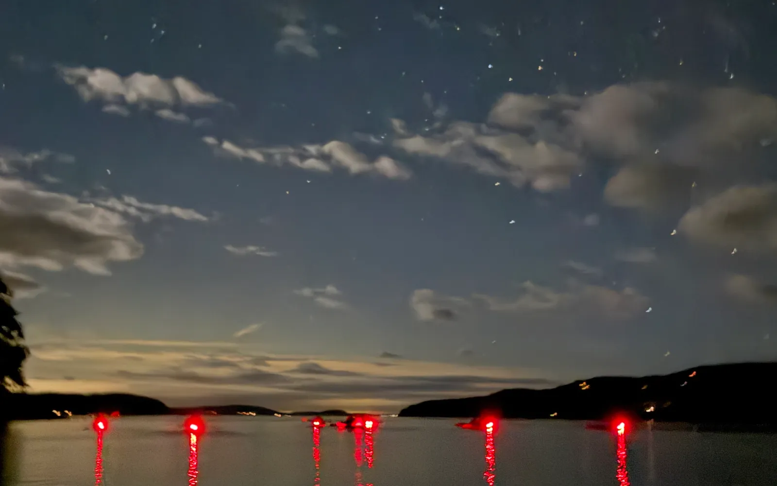 Bioluminescence
