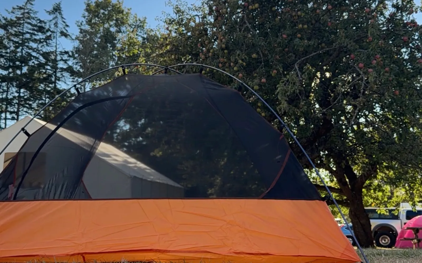 West shore camp
