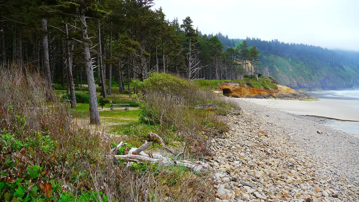 Cape Lookout Trail
