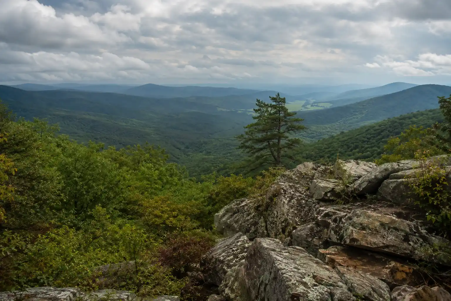 Ouachita Trail Arkansas: 7-Day Backpacking Trip