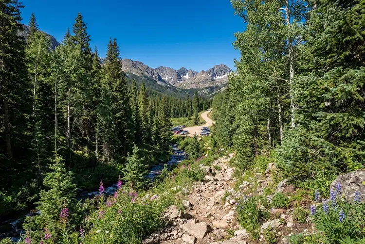 Buchanan Creek · the long climb back
