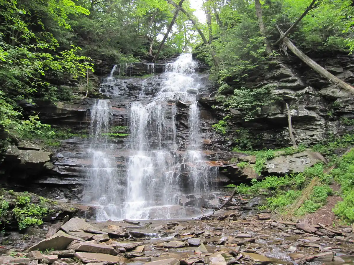 Ganoga Falls (94 ft)