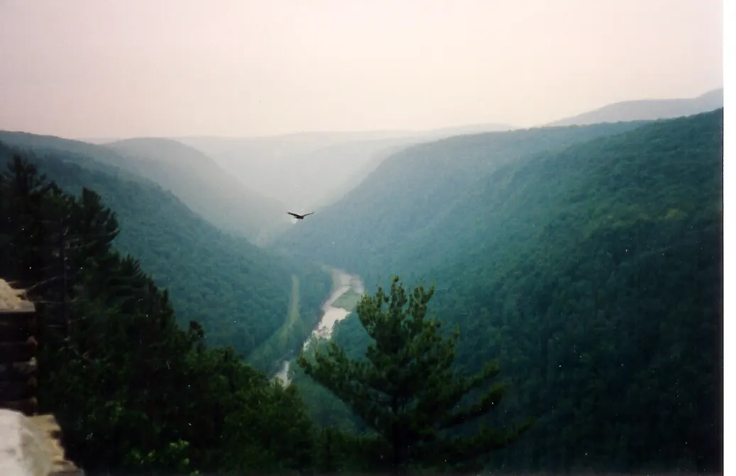 West Rim Trail to Bradley Wales