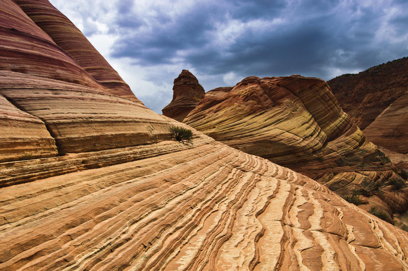 The Wave (Coyote Buttes North)