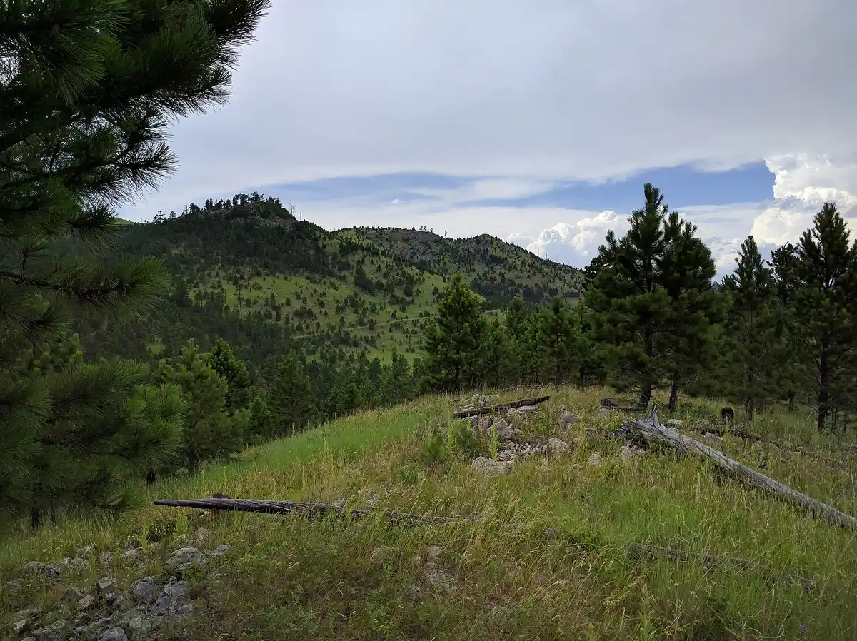 Explore the town of Custer