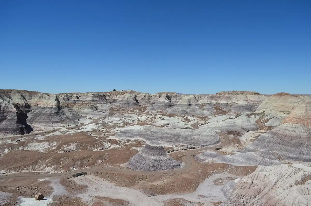 Petrified Forest Loop · ancient wood & solitude
