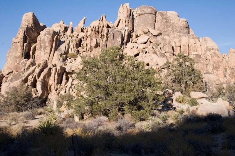Guided hike & stargaze · Joshua Tree Excursions
