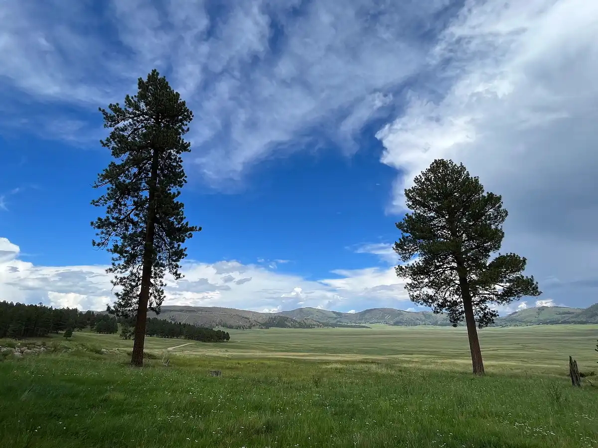 Best Time to Visit Valles Caldera: A Season-by-Season Guide