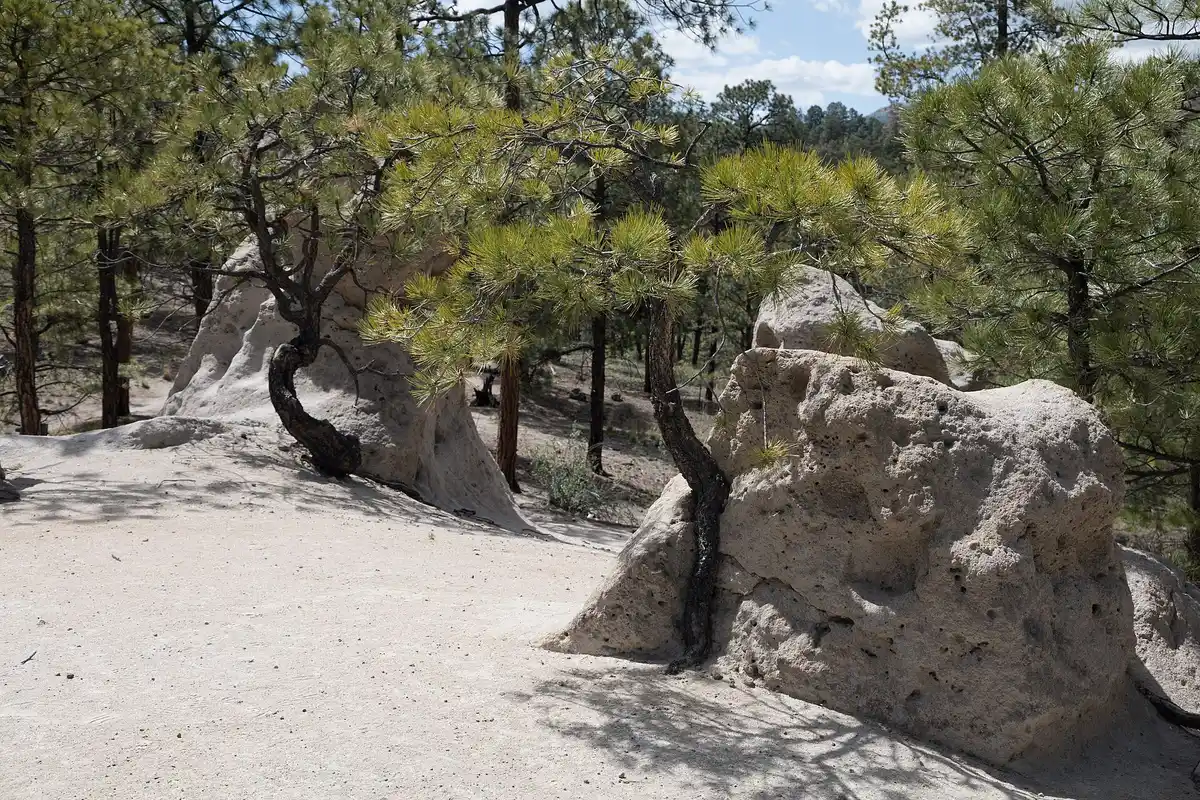 Stay in Los Alamos