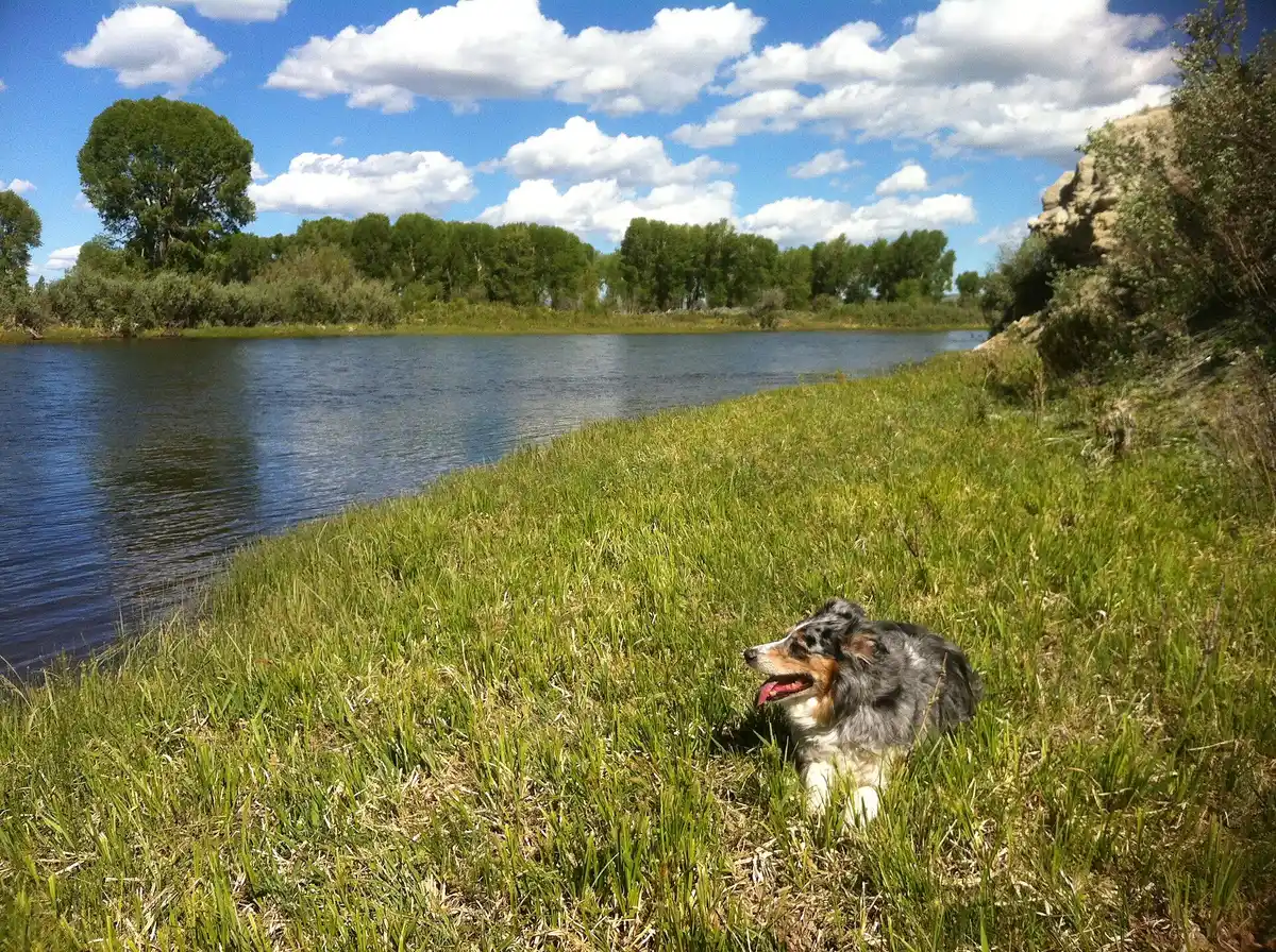Reposition to Pinedale