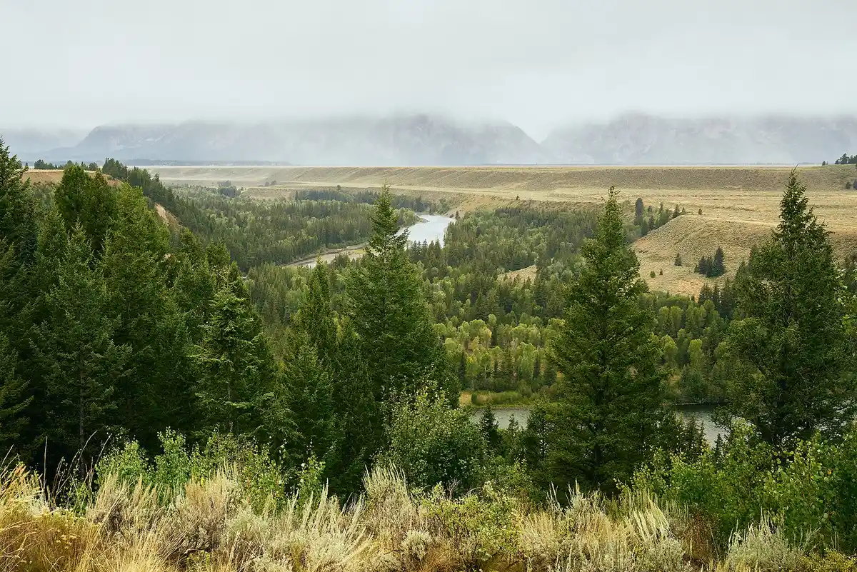 Snake River Overlook
