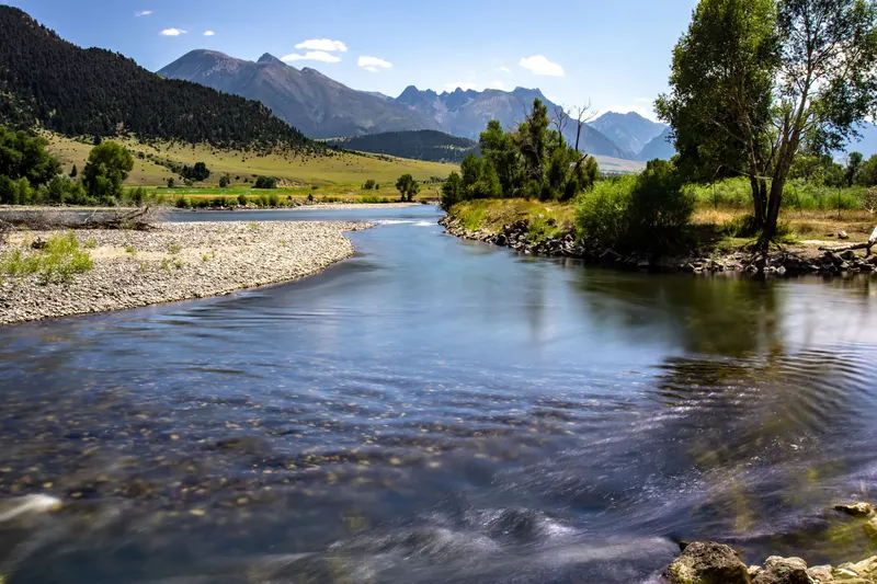 Wolf tracking in Lamar Valley