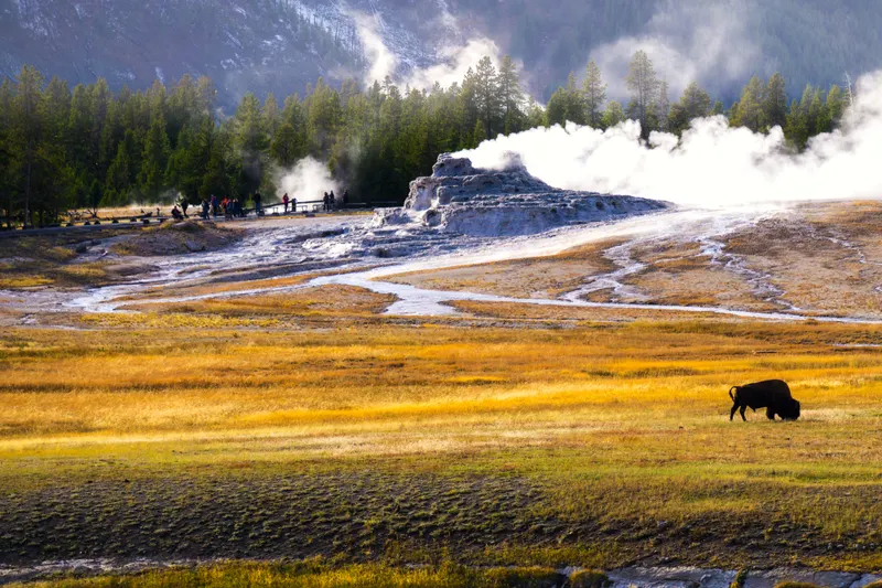 Mammoth Hot Springs