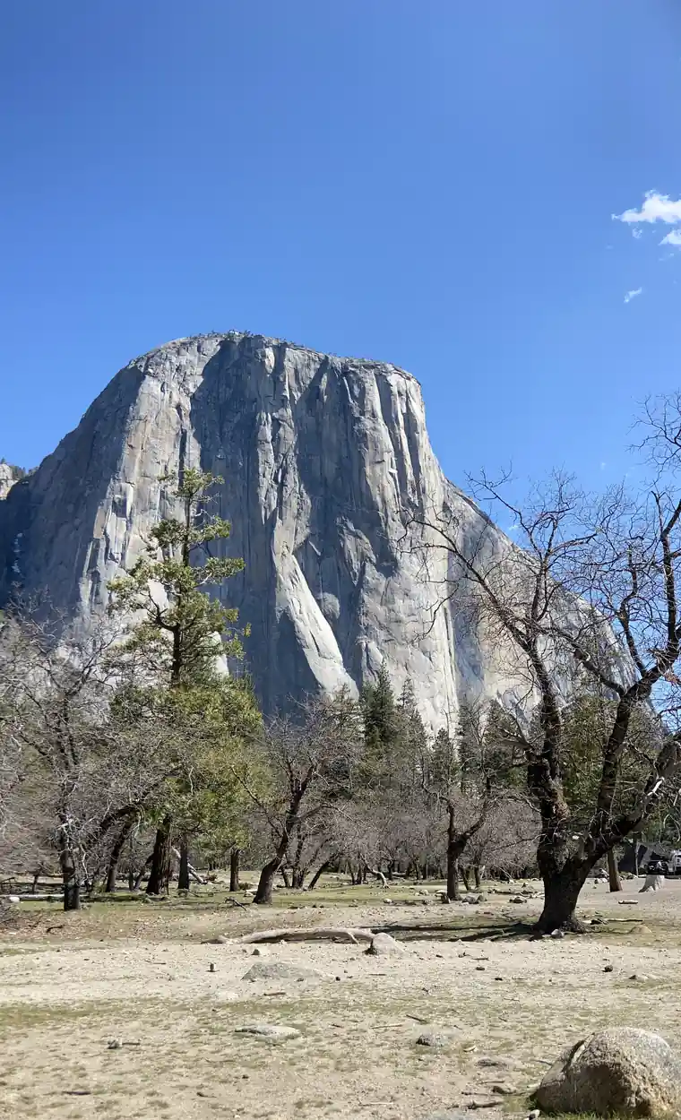 El Capitan from the valley floor