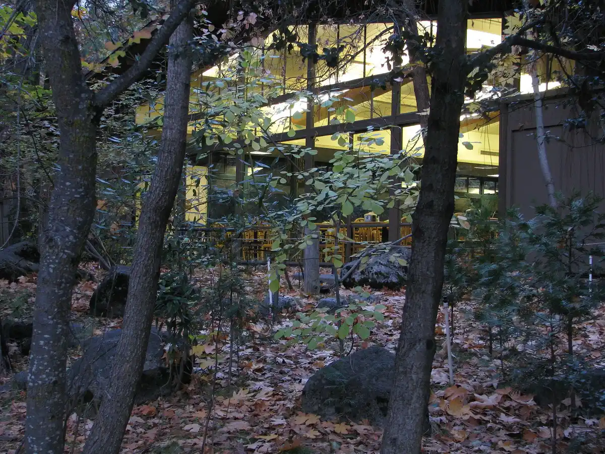 Stay at Yosemite Valley Lodge