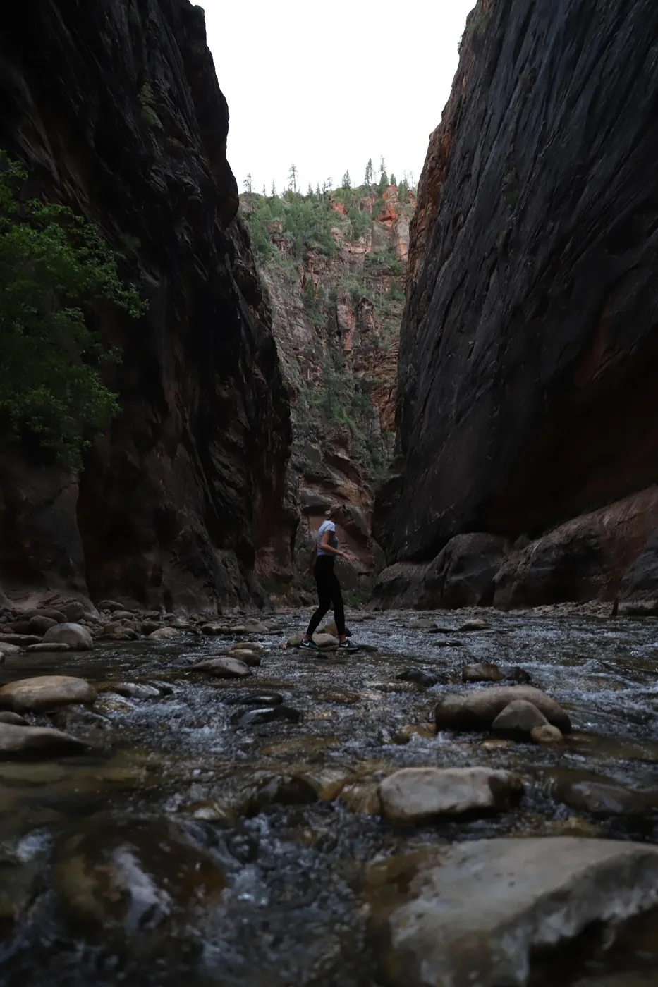 The deep, narrow section of the Zion Narrows with the river between sheer walls