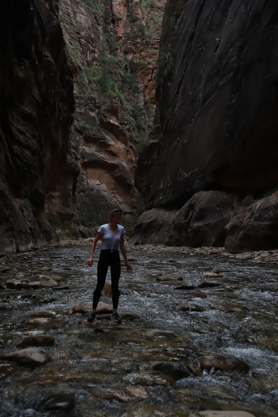 The Narrows · one hiker, for scale