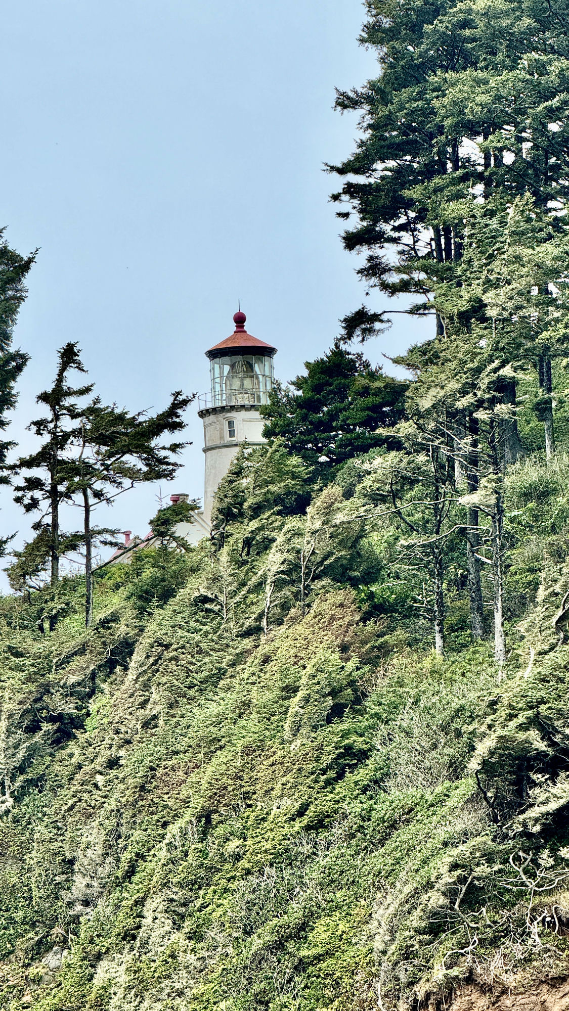 Heceta Head Lighthouse above a cove on the central Oregon Coast