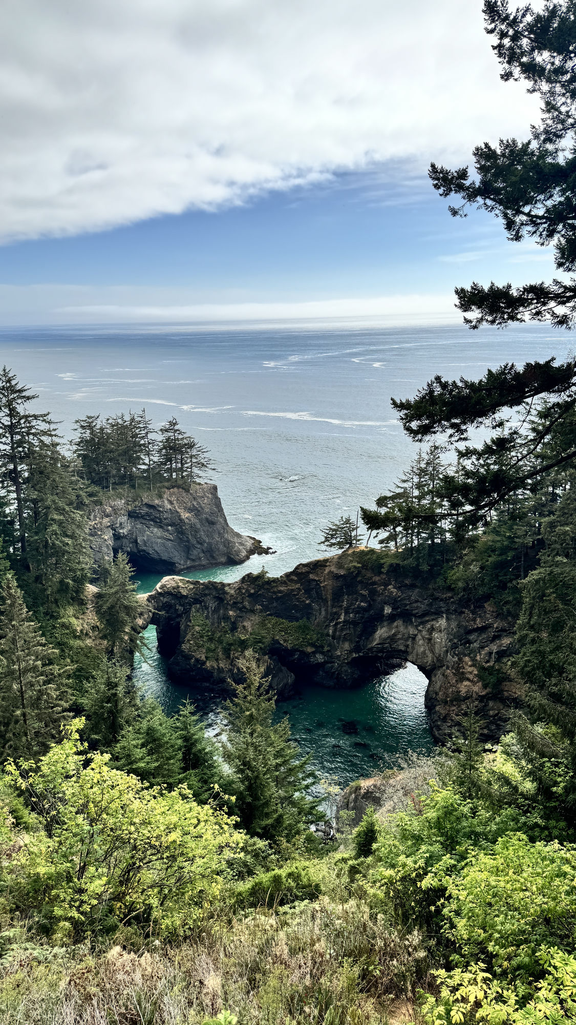 The Natural Bridges sea arches in the Samuel H. Boardman State Scenic Corridor