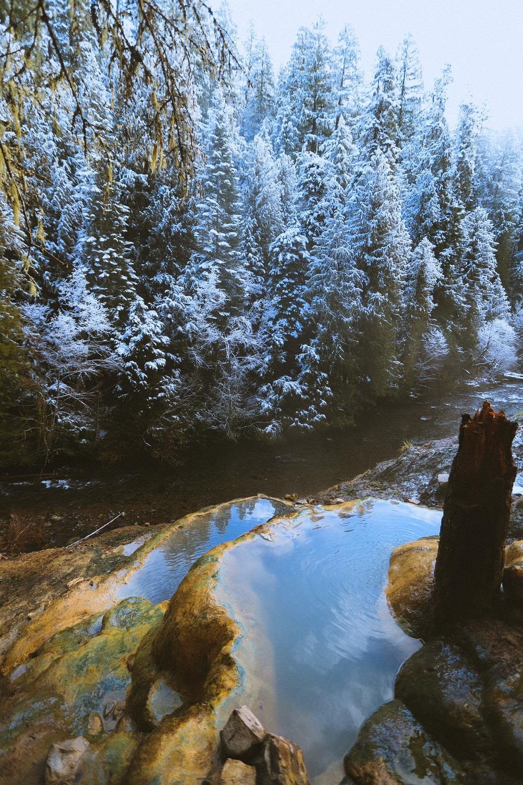 Oregon Coast Hot Springs: Where to Soak Near the Coast